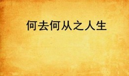 《何去何从》在线观看,探寻人生抉择与命运轨迹的抉择之路