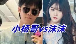 小杨爆料最新视频,揭秘幕后真相，精彩瞬间不容错过